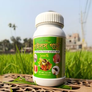 পাইলস গার্ড